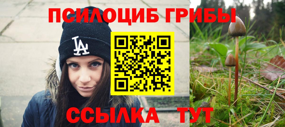 Псилоцибиновые грибы прущие грибы  Галлюциногенные грибы Psilocybine cubensis  Великие Луки  Вход с VPN 